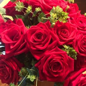 Meet your Posher, Terri